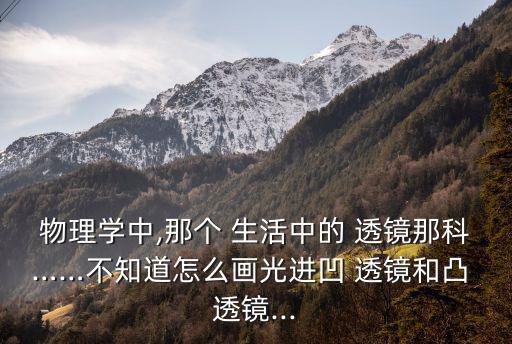 物理學中,那個 生活中的 透鏡那科……不知道怎么畫光進凹 透鏡和凸 透鏡...