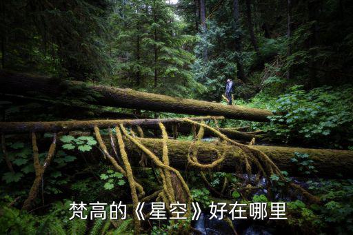  梵高的《星空》好在哪里