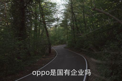 oppo公司,關注我們!堅毅向前預算案