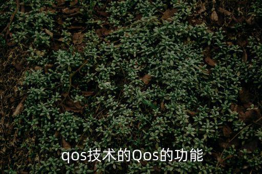  qos技術的Qos的功能