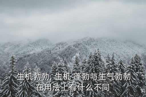 蓬勃生機,蓬勃向榮:充滿活力蓬勃發展的階段