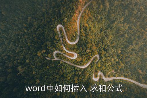 word如何求和,怎么用word求和?