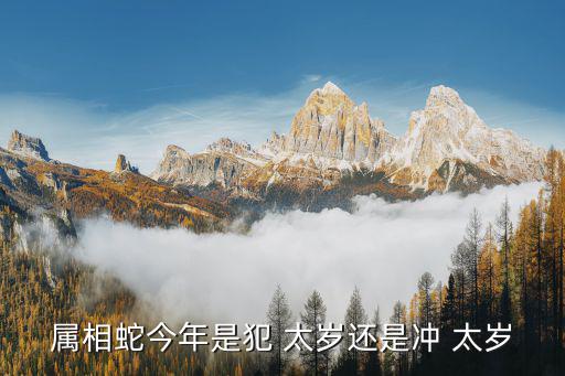 屬蛇犯太歲,虎年與蛇年相害屬蛇朋友今年可請佛回家破案