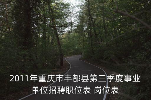 2011年重慶市豐都縣第三季度事業單位招聘職位表 崗位表