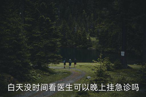 白天沒時間看醫生可以晚上掛急診嗎