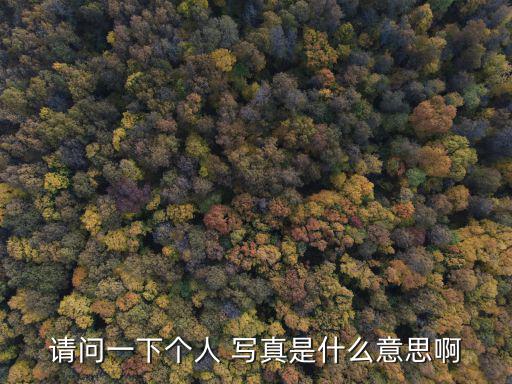 請問一下個人 寫真是什么意思啊