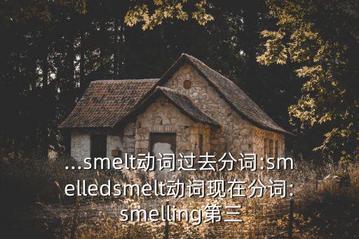 ...smelt動詞過去分詞:smelledsmelt動詞現在分詞: smelling第三