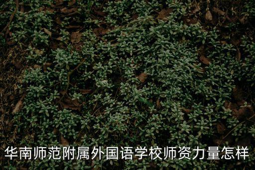 華南師范附屬外國語學校師資力量怎樣