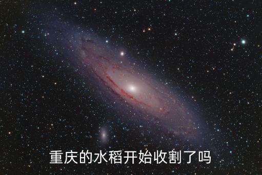 重慶的水稻開始收割了嗎