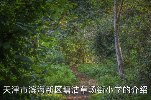 天津市濱海新區塘沽草場街小學的介紹