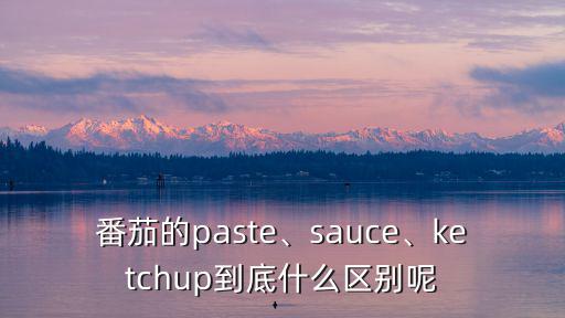 番茄的paste、sauce、ketchup到底什么區別呢