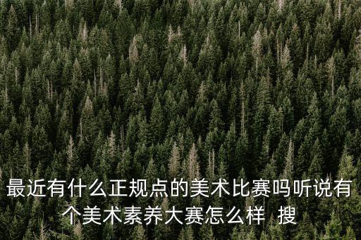最近有什么正規(guī)點(diǎn)的美術(shù)比賽嗎聽說有個(gè)美術(shù)素養(yǎng)大賽怎么樣  搜