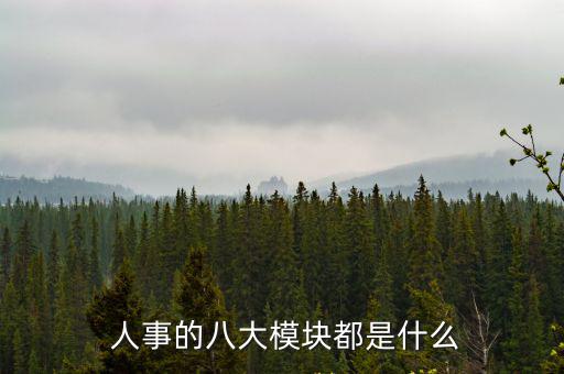  人事的八大模塊都是什么