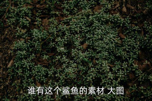 誰有這個(gè)鯊魚的素材 大圖