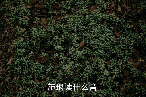 施瑯讀什么音