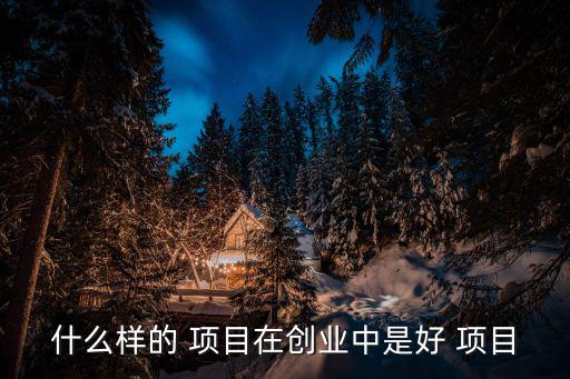 什么樣的 項目在創業中是好 項目