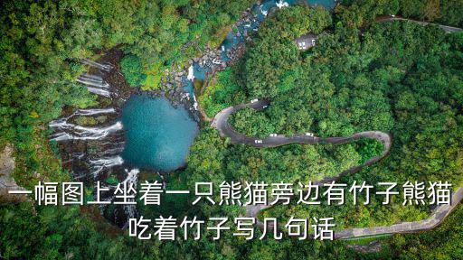 一幅圖上坐著一只熊貓旁邊有竹子熊貓吃著竹子寫幾句話