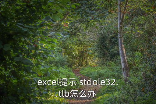 excel提示 stdole32.tlb怎么辦