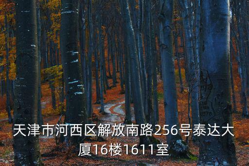 天津市河西區(qū)解放南路256號泰達大廈16樓1611室
