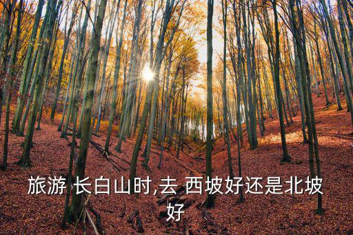 長白山西坡,長白山北坡:東西南北都可到達(dá)頂峰