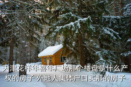 天津花樣年喜年廣場那個樓盤是什么產(chǎn)權(quán)的房子 外地人集體戶口買那的房子
