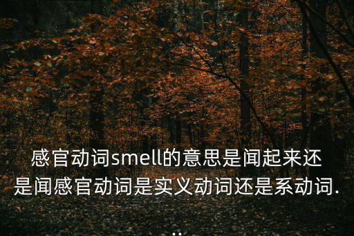 感官動詞smell的意思是聞起來還是聞感官動詞是實義動詞還是系動詞...