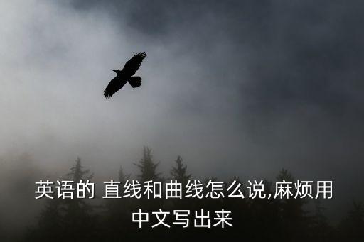  英語的 直線和曲線怎么說,麻煩用中文寫出來