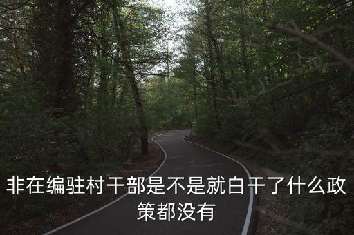 非在編駐村干部是不是就白干了什么政策都沒有