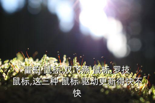 雷柏鼠標驅動,如何安裝藍牙鼠標?先看電腦怎么做?