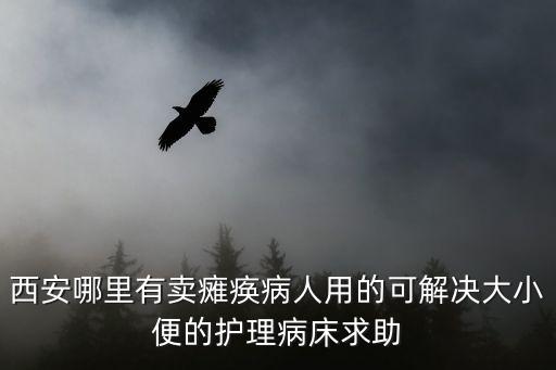 西安哪里有賣癱瘓病人用的可解決大小便的護理病床求助