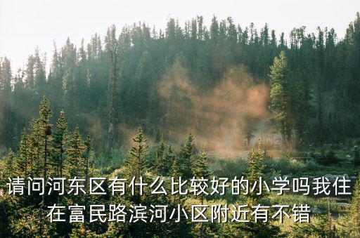 請問河東區有什么比較好的小學嗎我住在富民路濱河小區附近有不錯
