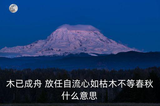 木已成舟 放任自流心如枯木不等春秋什么意思