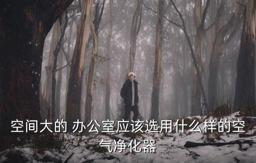 大辦公,小型空氣過濾器可凈化一定范圍內(nèi)空氣