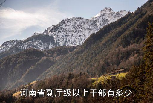 河南省副廳級以上干部有多少