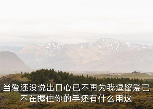當愛還沒說出口心已不再為我逗留愛已不在握住你的手還有什么用這