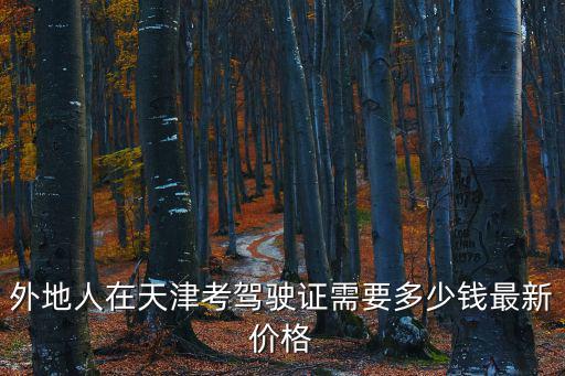 外地人在天津考駕駛證需要多少錢最新價格