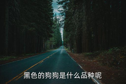 狗狗的圖片,本地最萌雜交狗崽崽崽成功搶領先