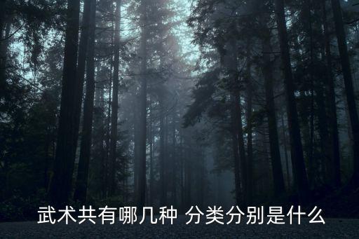 武術分類,武漢市民眾可以自行舉辦武術比賽