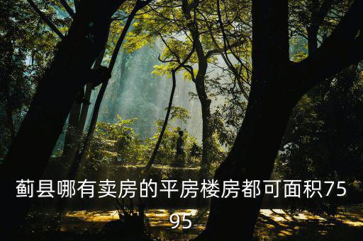 薊縣哪有賣房的平房樓房都可面積7595