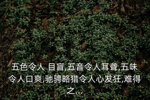 目盲,眼盲游戲下載五音不聾五味爽口