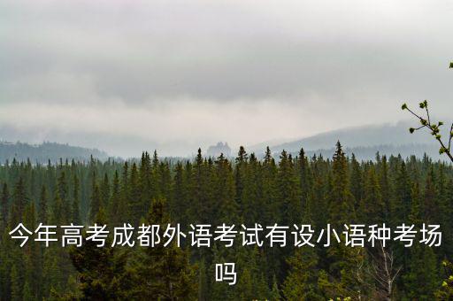 今年高考成都外語考試有設小語種考場嗎