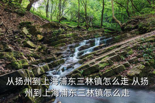 從揚州到上海浦東三林鎮怎么走 從揚州到上海浦東三林鎮怎么走