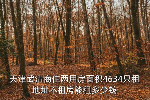 天津武清商住兩用房面積4634只租地址不租房能租多少錢