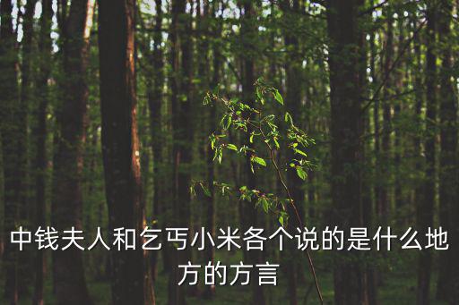 天津市寧河區方言，天津寧河人特點