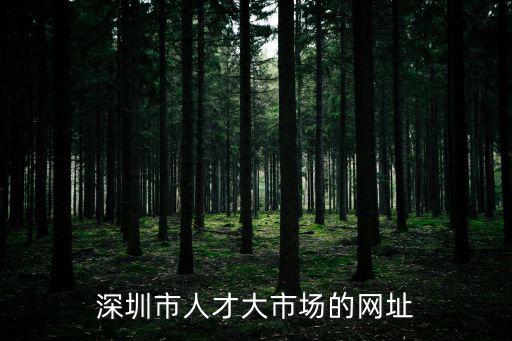 深圳市人才大市場的網(wǎng)址