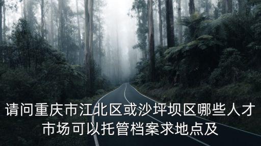 請問重慶市江北區或沙坪壩區哪些人才市場可以托管檔案求地點及