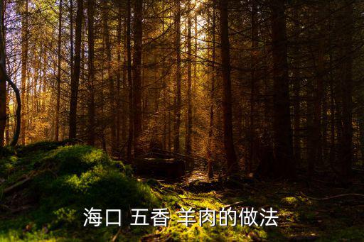 海口 五香 羊肉的做法