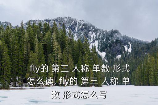 fly的第三人稱單數形式,第三人稱單數和第五人稱費"之別