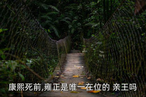康熙死前,雍正是唯一在位的 親王嗎