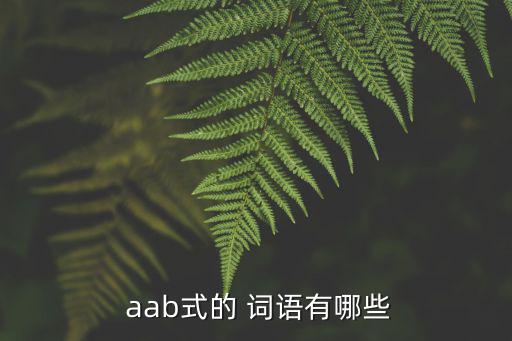 aab式的詞語,第二集:毛毛雨，意氣風(fēng)發(fā)麻木,肅然,娃娃魚